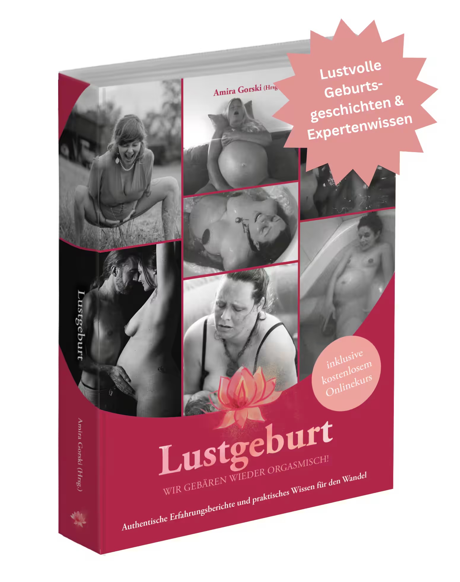 Lustvolle-Geburtsgeschichten-und-Expertenwissen-auf-432-Seiten